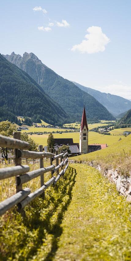 pfitschtal-wiesen-290