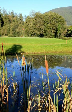 teich-und-green-4